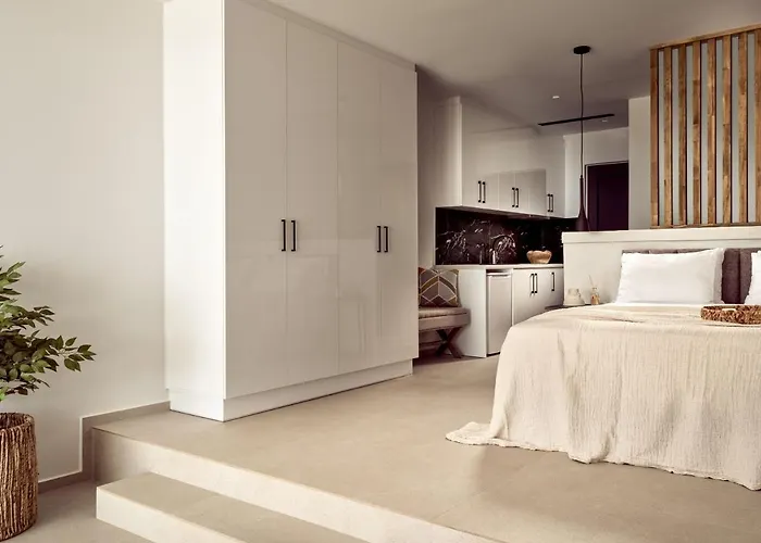 The Sall Complex A - Open Plan With Private Pool Apartment *